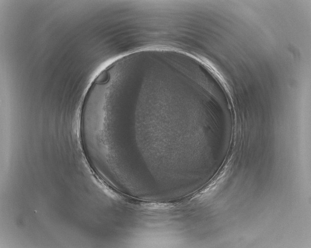 X0000115510862200911201637