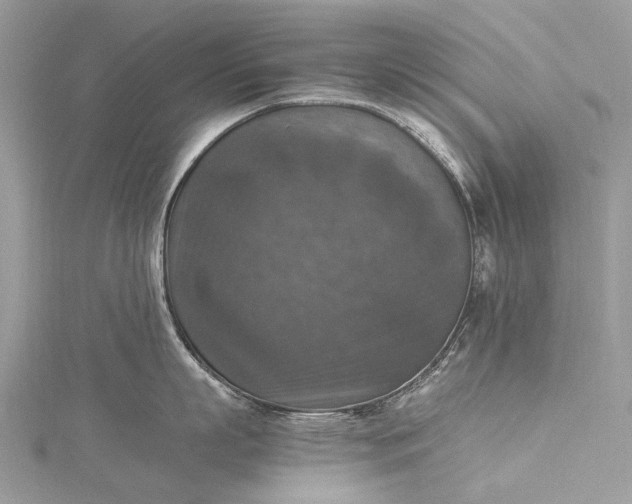 X0000115510863200911201637