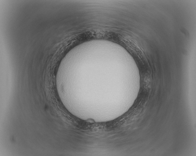 X0000115510865200911201637