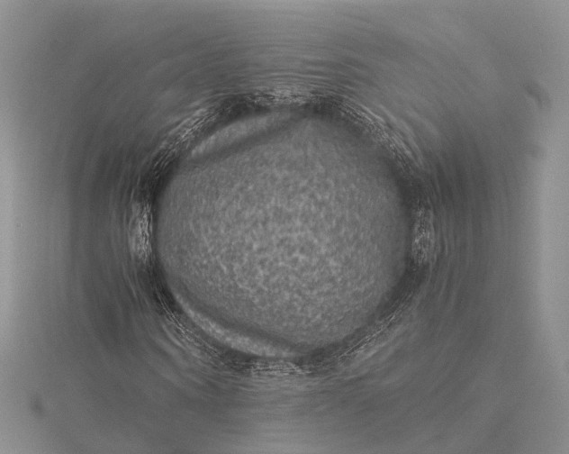 X0000115510866200911201637