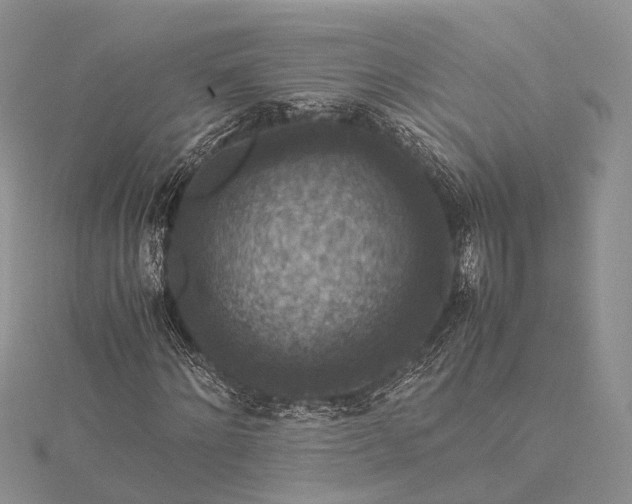 X0000115510868200911201637