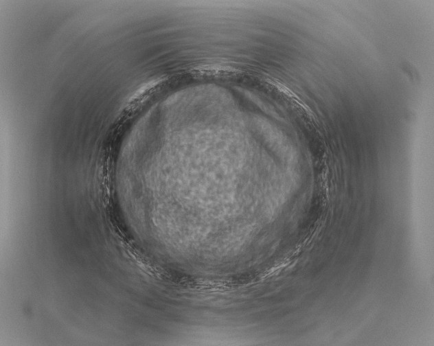 X0000115510870200911201637