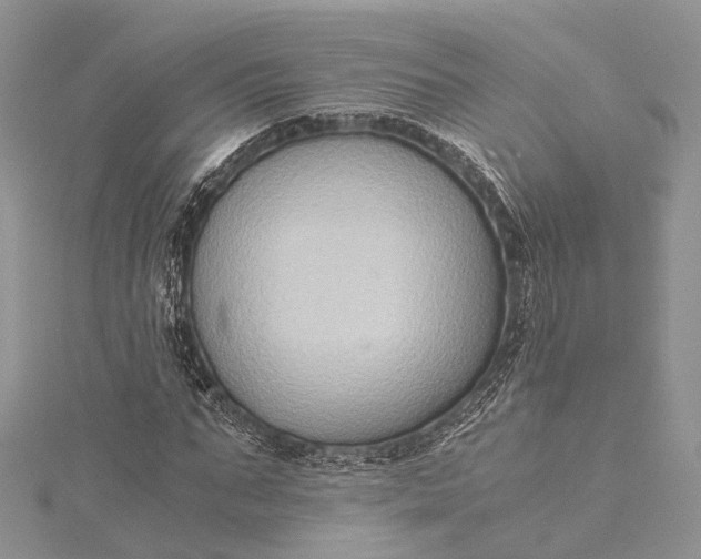 X0000115510871200911201637