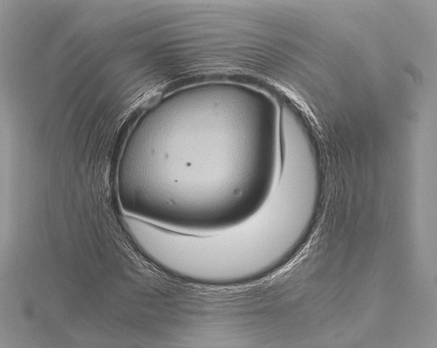 X0000115510873200911201637