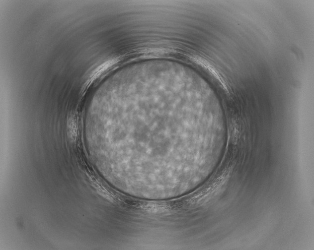 X0000115510874200911201637