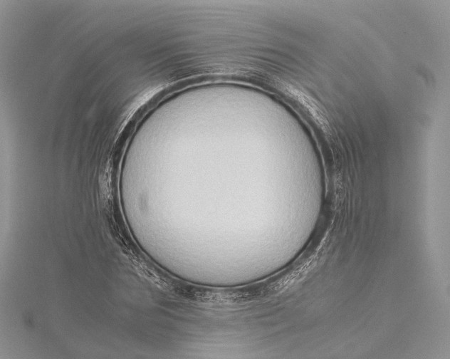 X0000115510875200911201637