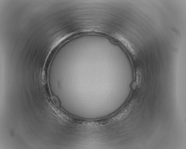 X0000115510876200911201637