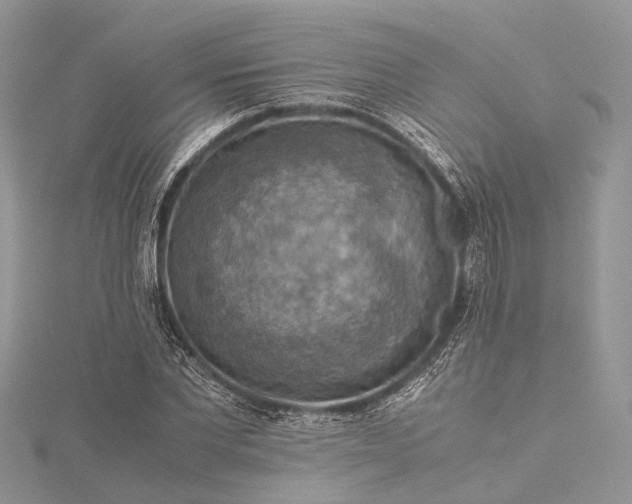 X0000115510877200911201637