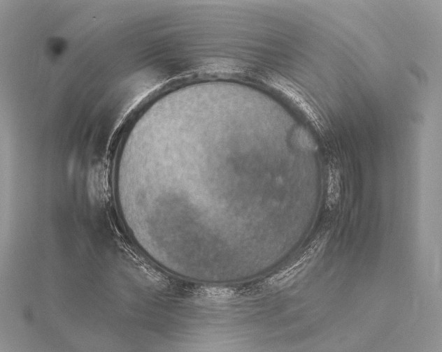 X0000115510878200911201637