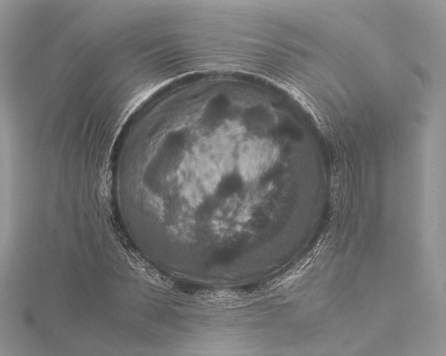 X0000115510879200911201636