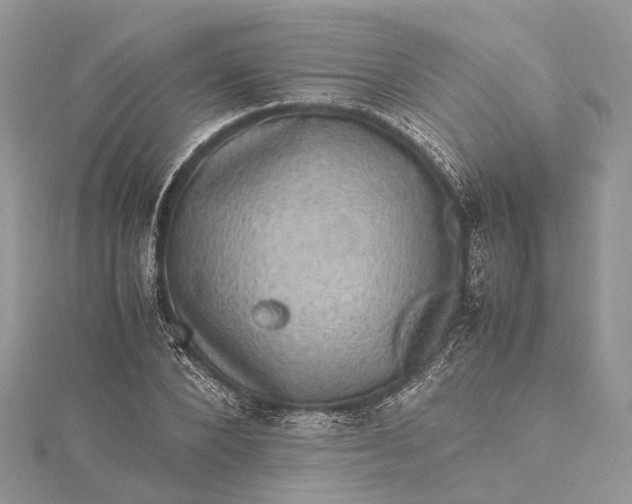 X0000115510880200911201636