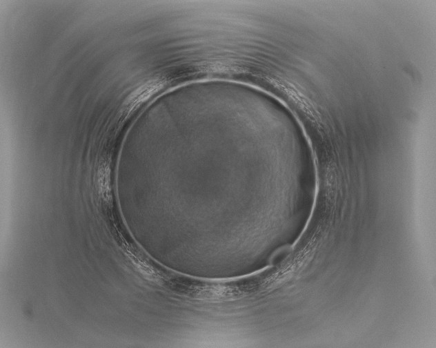 X0000115510881200911201636