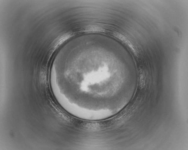 X0000115510882200911201636