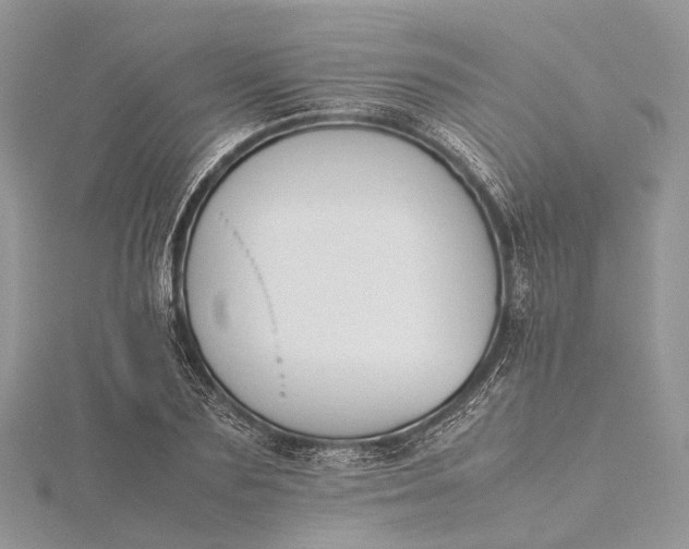 X0000115510883200911201636