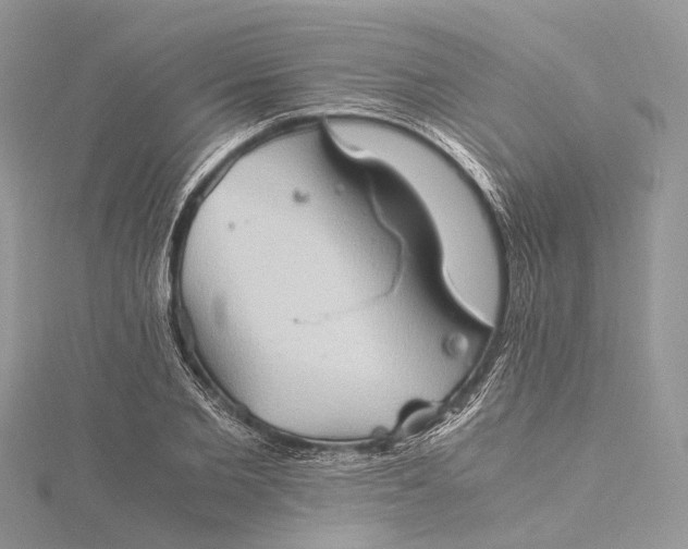 X0000115510885200911201636