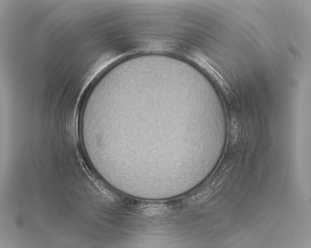 X0000115510886200911201636