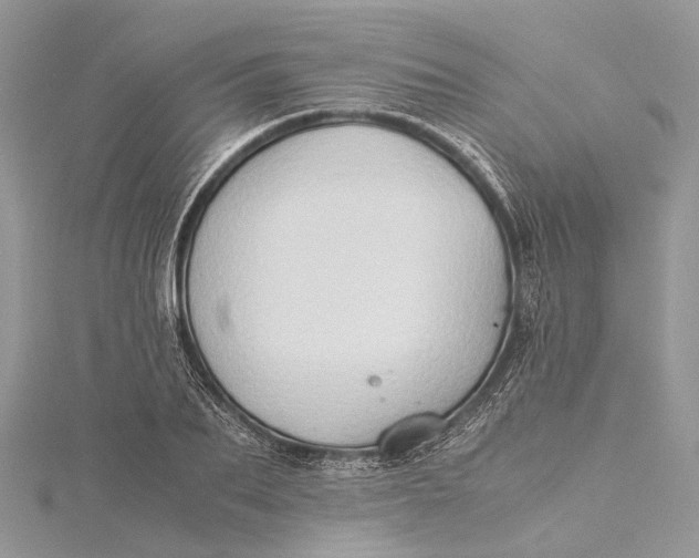 X0000115510887200911201636