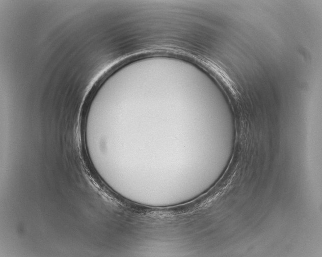 X0000115510888200911201636