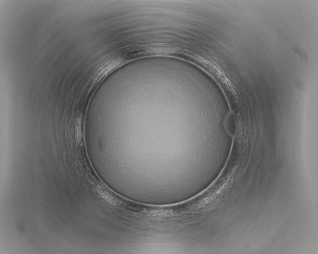 X0000115510889200911201636