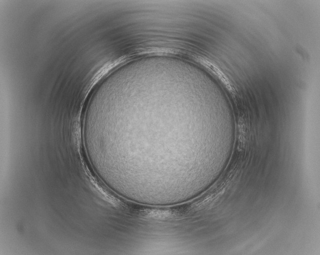 X0000115510890200911201636