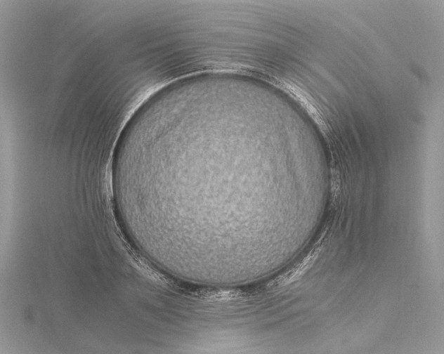 X0000115510891200911201636