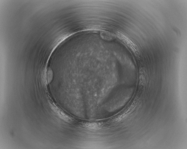 X0000115510892200911201636