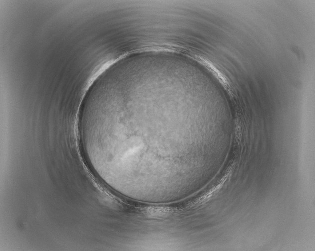 X0000115510893200911201636