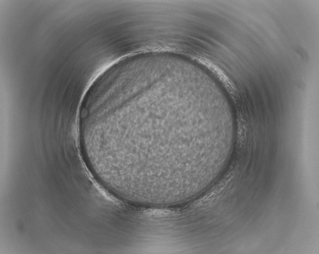 X0000115510894200911201636