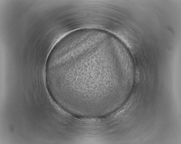 X0000115510895200911201636