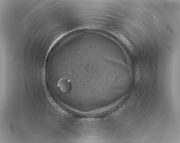 X0000115510896200911201636