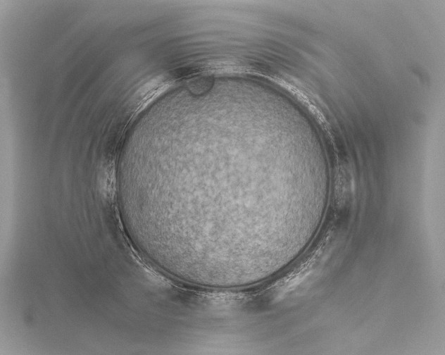 X0000115510897200911201636