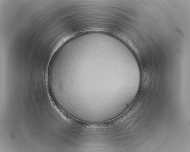 X0000115510898200911201636