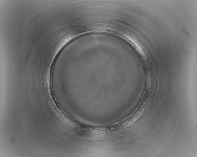 X0000115510899200911201636