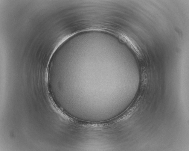 X0000115510900200911201636