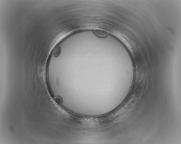 X0000115510901200911201636