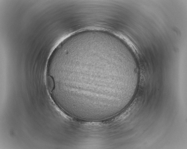 X0000115510902200911201636