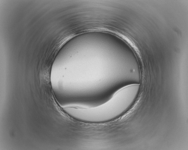 X0000115510905200911201636