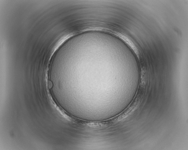 X0000115510906200911201636