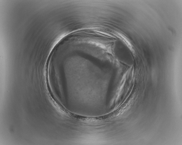 X0000115510907200911201636