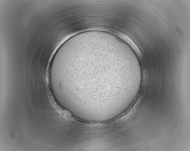 X0000115510908200911201636