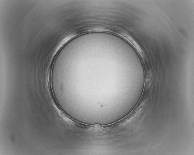 X0000115510909200911201636