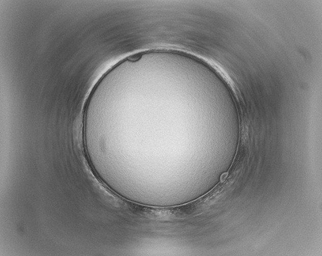 X0000115510911200911201636