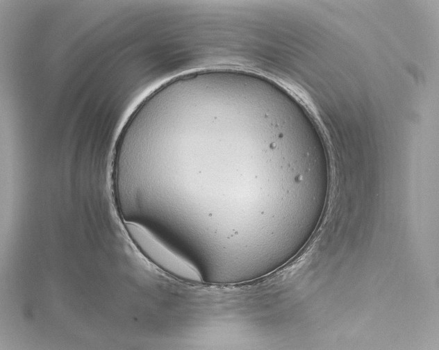 X0000115510912200911201636