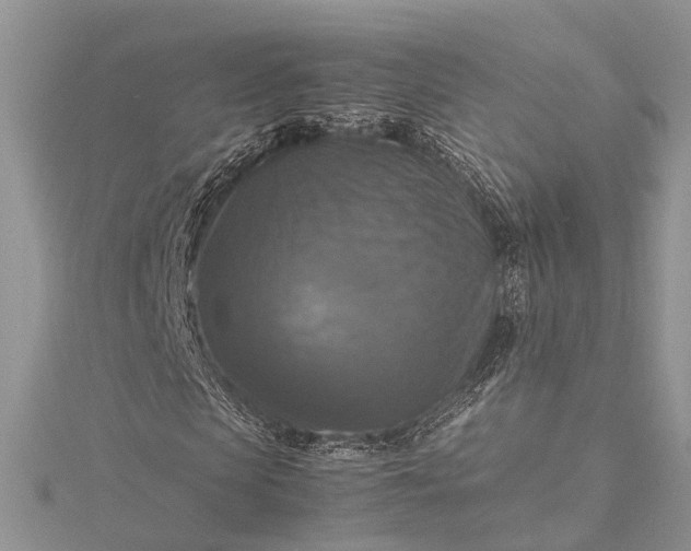 X0000115510913200911201635