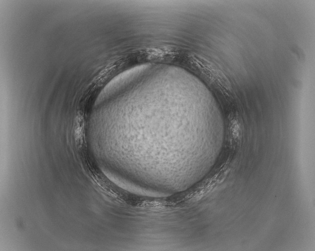 X0000115510914200911201635