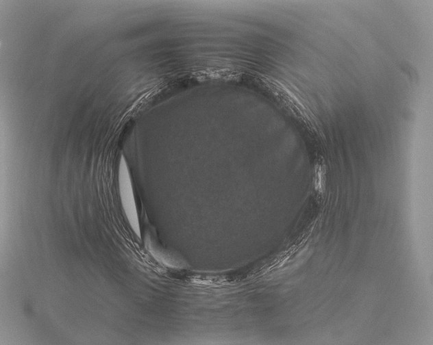 X0000115510915200911201635