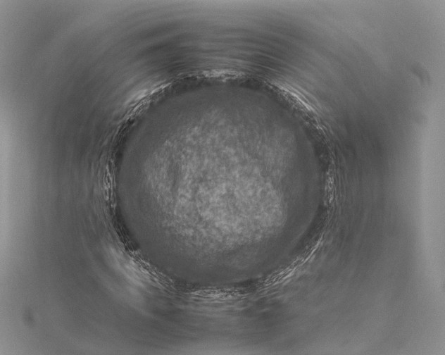 X0000115510917200911201636