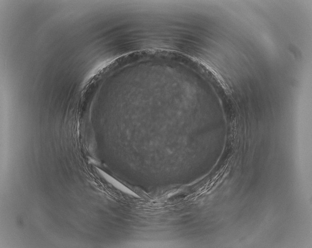 X0000115510919200911201636