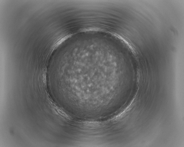 X0000115510921200911201636