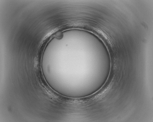 X0000115510922200911201636